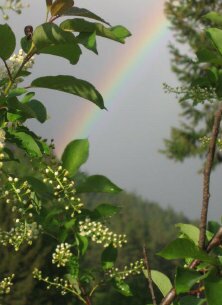 GSWrite Affordable Websites Missoula MT
